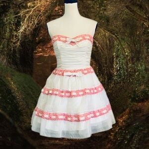 Vintage Betsey Johnson Evening Silk Sheer Mesh Lace Velvet Ribbon Cupcake Dress